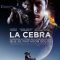 The Zebra | La cebra