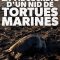 Turtle Beach | La vie secrète d’un nid de tortues marines