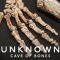 Unknown: Cave of Bones