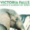 Victoria Falls Africa’s Garden of Eden