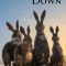 Watership Down