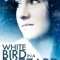 White Bird in a Blizzard