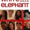 White Elephant