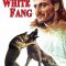 White Fang | Zanna Bianca