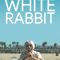 White Rabbit