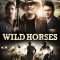 Wild Horses