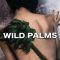 Wild Palms