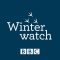 Winterwatch