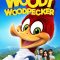 Woody Woodpecker