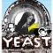 Yeast