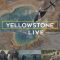 Yellowstone Live