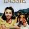 Courage of Lassie