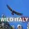 Wild Italy