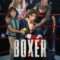 Boxer | Bokser