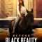 Beyond Black Beauty