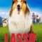 Lassie: A New Adventure | Lassie – Ein neues Abenteuer